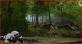 /album/quelques-images-/yavin-jpg1/